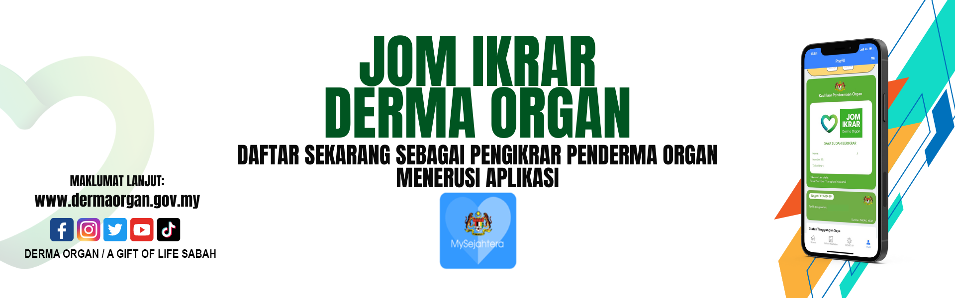Derma Organ